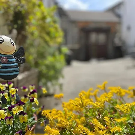 Casa Felipe Ordesa Apartament *